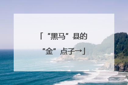 “黑马”县的“金”点子→