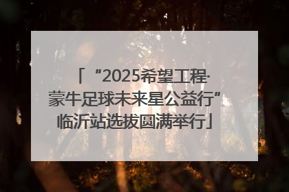 “2025希望工程·蒙牛足球未来星公益行”临沂站选拔圆满举行