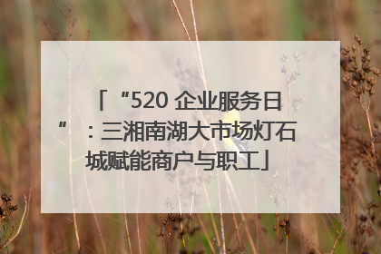 “520 企业服务日”：三湘南湖大市场灯石城赋能商户与职工