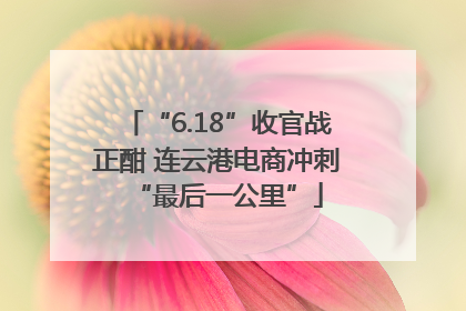 “6.18”收官战正酣 连云港电商冲刺“最后一公里”