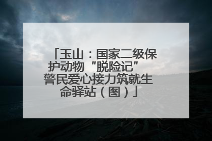 玉山：国家二级保护动物“脱险记” 警民爱心接力筑就生命驿站（图）