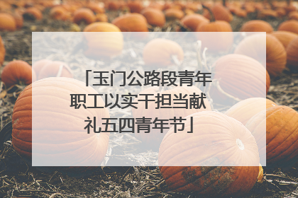 玉门公路段青年职工以实干担当献礼五四青年节