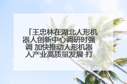 王忠林在湖北人形机器人创新中心调研时强调 加快推动人形机器人产业高质量发展 打造具有全国影响力的研发创新基地