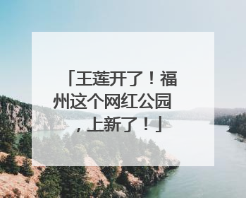 王莲开了！福州这个网红公园，上新了！