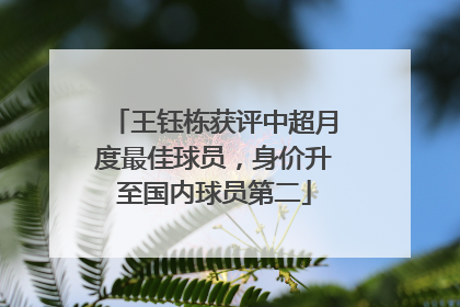 王钰栋获评中超月度最佳球员，身价升至国内球员第二