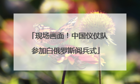 现场画面！中国仪仗队参加白俄罗斯阅兵式