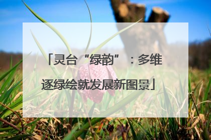 灵台“绿韵”：多维逐绿绘就发展新图景