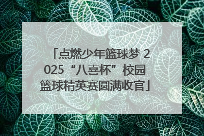 点燃少年篮球梦 2025“八喜杯”校园篮球精英赛圆满收官
