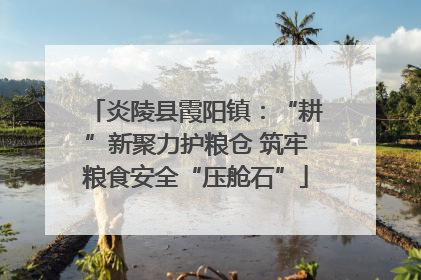 炎陵县霞阳镇：“耕”新聚力护粮仓 筑牢粮食安全“压舱石”