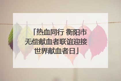 热血同行 衡阳市无偿献血者联谊迎接世界献血者日