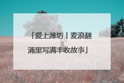 爱上潍坊丨麦浪翻涌里写满丰收故事