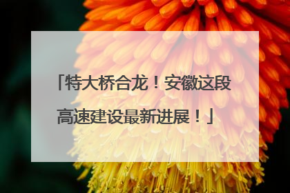 特大桥合龙！安徽这段高速建设最新进展！