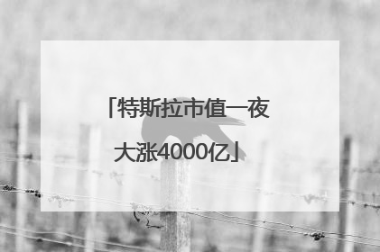 特斯拉市值一夜大涨4000亿