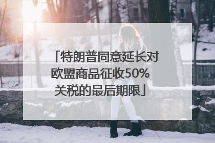 特朗普同意延长对欧盟商品征收50%关税的最后期限