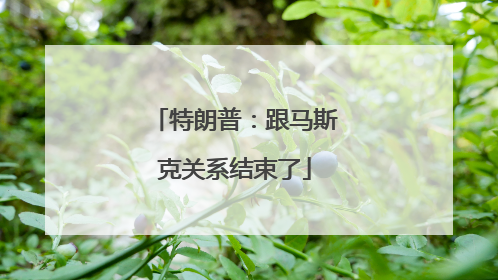 特朗普：跟马斯克关系结束了