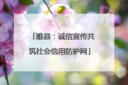 睢县：诚信宣传共筑社会信用防护网