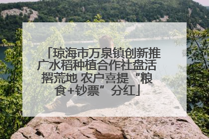 琼海市万泉镇创新推广水稻种植合作社盘活撂荒地 农户喜提“粮食+钞票”分红