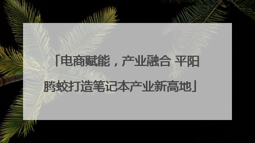 电商赋能，产业融合 平阳腾蛟打造笔记本产业新高地
