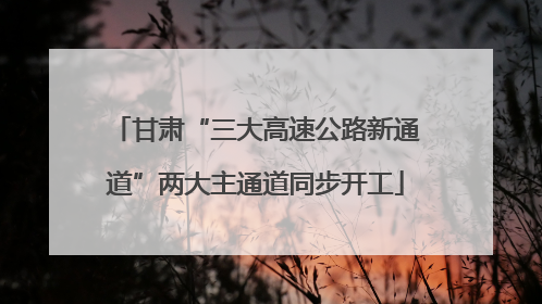 甘肃“三大高速公路新通道”两大主通道同步开工