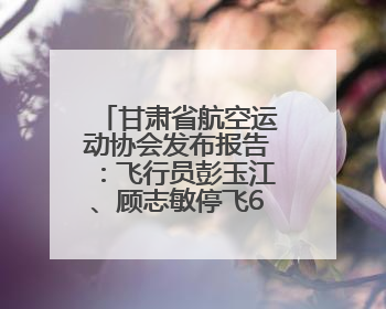 甘肃省航空运动协会发布报告：飞行员彭玉江、顾志敏停飞6个月