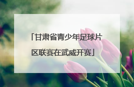 甘肃省青少年足球片区联赛在武威开赛