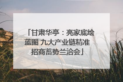 甘肃华亭：亮家底绘蓝图 九大产业链精准招商蓄势兰洽会