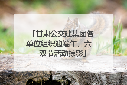 甘肃公交建集团各单位组织迎端午、六一双节活动掠影