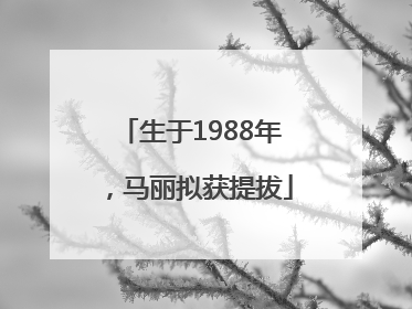 生于1988年，马丽拟获提拔