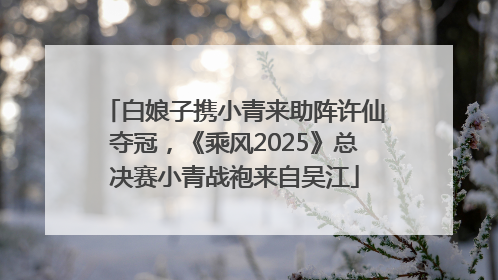 白娘子携小青来助阵许仙夺冠，《乘风2025》总决赛小青战袍来自吴江