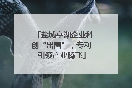 盐城亭湖企业科创“出圈”，专利引领产业腾飞