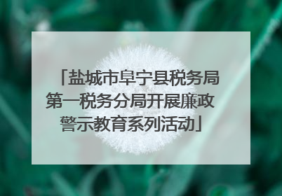 盐城市阜宁县税务局第一税务分局开展廉政警示教育系列活动