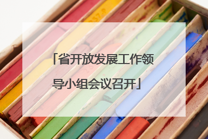 省开放发展工作领导小组会议召开