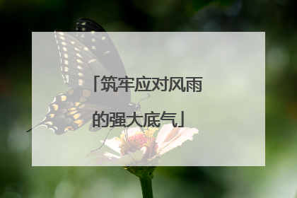 筑牢应对风雨的强大底气