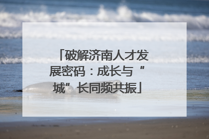 破解济南人才发展密码：成长与“城”长同频共振