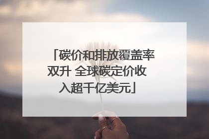 碳价和排放覆盖率双升 全球碳定价收入超千亿美元