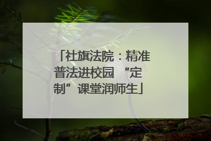 社旗法院：精准普法进校园 “定制”课堂润师生