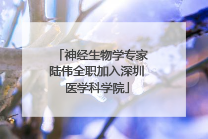 神经生物学专家陆伟全职加入深圳医学科学院