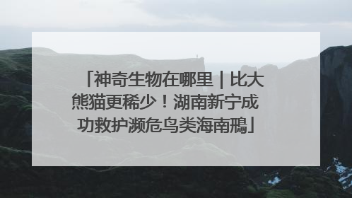 神奇生物在哪里｜比大熊猫更稀少！湖南新宁成功救护濒危鸟类海南鳽