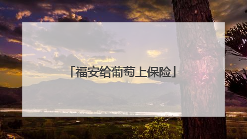 福安给葡萄上保险