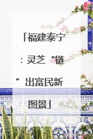 福建泰宁：灵芝“链”出富民新图景