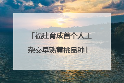 福建育成首个人工杂交早熟黄桃品种