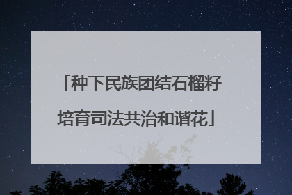 种下民族团结石榴籽 培育司法共治和谐花