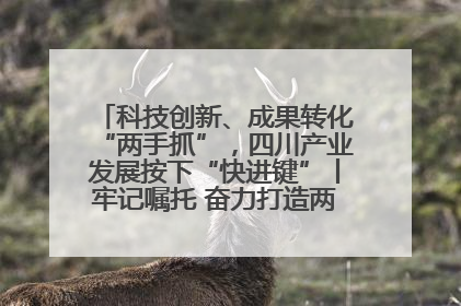 科技创新、成果转化“两手抓”，四川产业发展按下“快进键”丨牢记嘱托 奋力打造两高地两基地一屏障