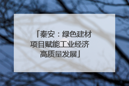 秦安：绿色建材项目赋能工业经济高质量发展