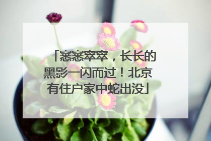 窸窸窣窣，长长的黑影一闪而过！北京有住户家中蛇出没