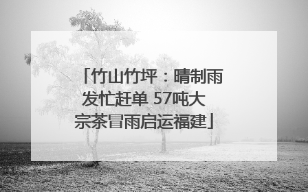竹山竹坪：晴制雨发忙赶单 57吨大宗茶冒雨启运福建