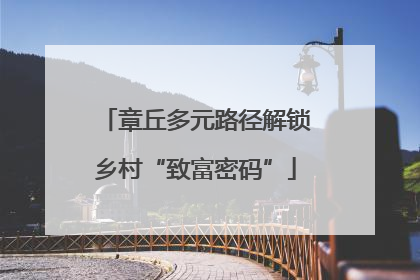 章丘多元路径解锁乡村“致富密码”
