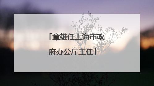 章雄任上海市政府办公厅主任