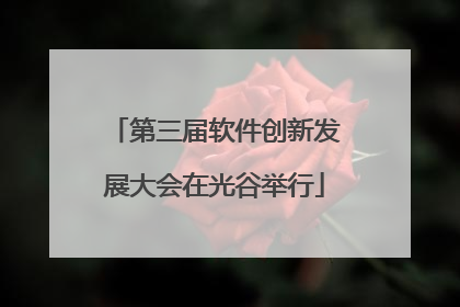 第三届软件创新发展大会在光谷举行