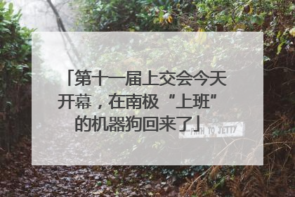 第十一届上交会今天开幕，在南极“上班”的机器狗回来了